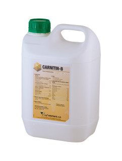 Carnitin-B