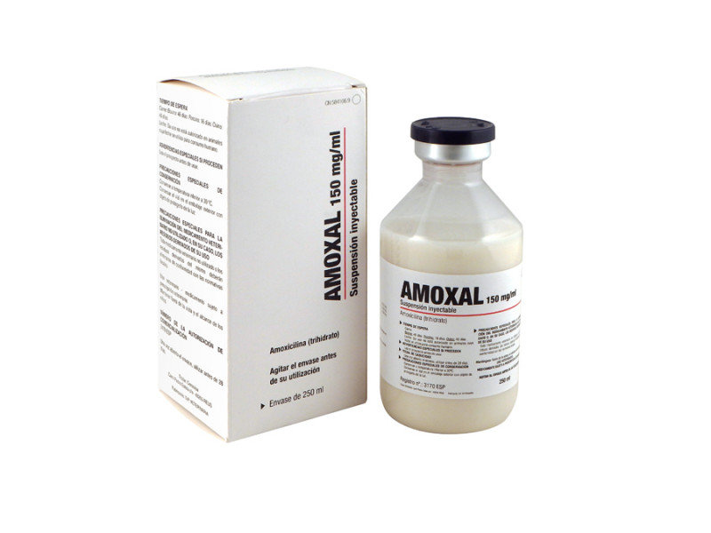 Amoxal 150 mg/ml