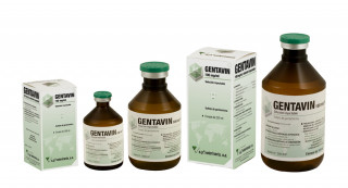 Gentavin 100 mg/ml