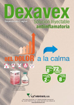 Dexavex 2 mg/ml solución inyectable