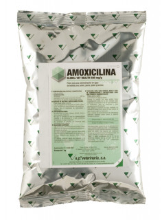 Amoxicilina Global Vet Health 500 mg/g